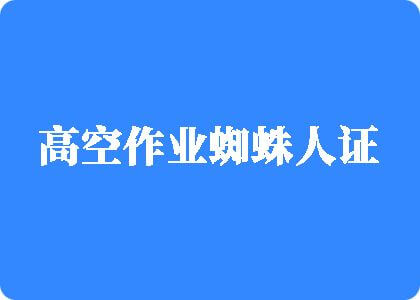 鸡巴草骚逼视频免费观看高空作业蜘蛛人证